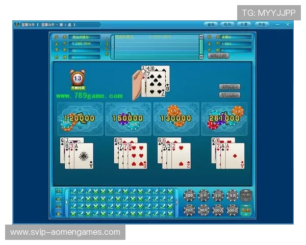 掌握百家乐游戏规则的详细步骤与技巧推荐新手必看的入门指南