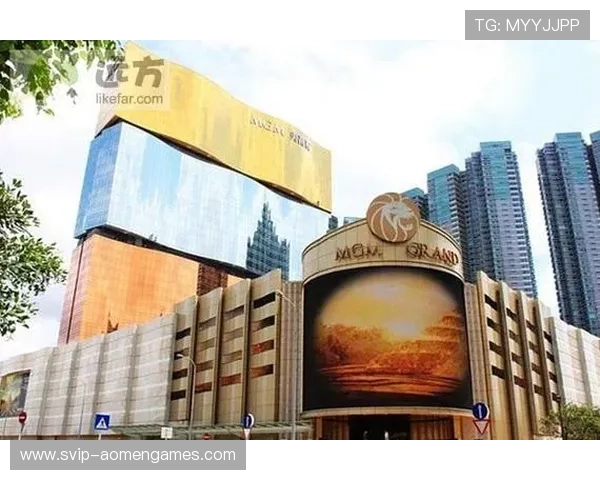 新澳门真人国际：推动澳门旅游经济多元化发展的重要力量