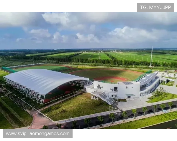 深入了解英皇体育如何打造专业化运动训练平台